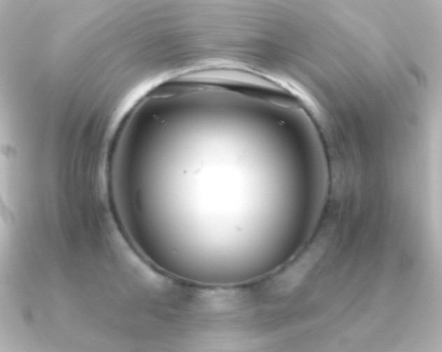 X0000091240902200708091433