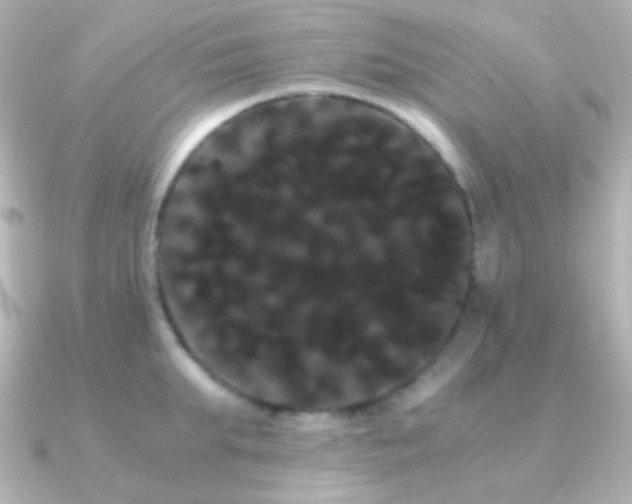 X0000091240903200708091433