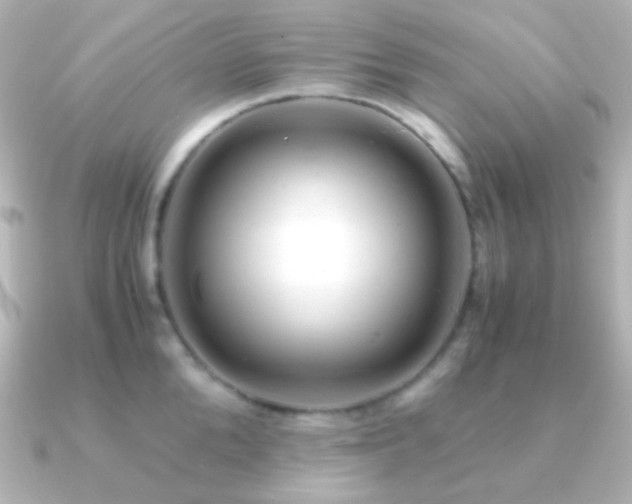X0000091240904200708091433