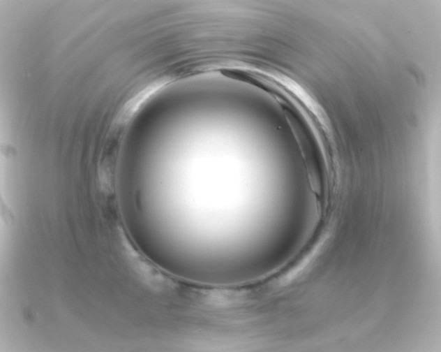 X0000091240905200708091433