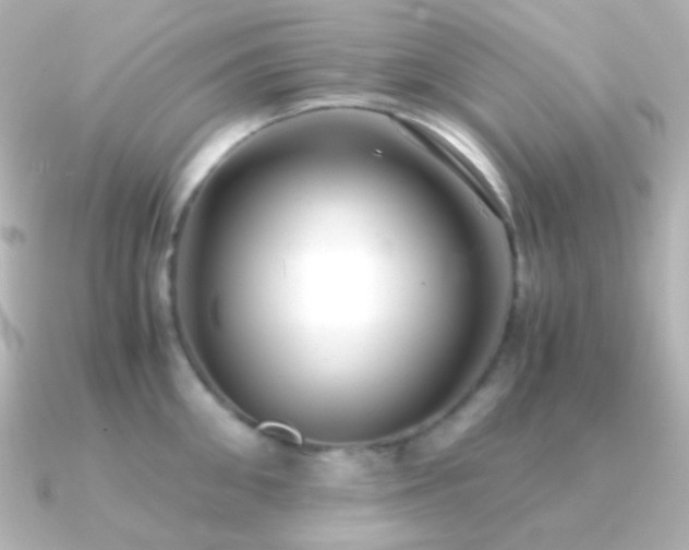 X0000091240906200708091433