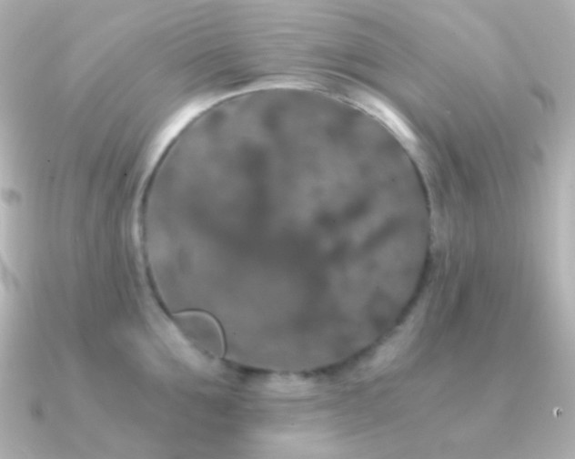 X0000091240907200708091433