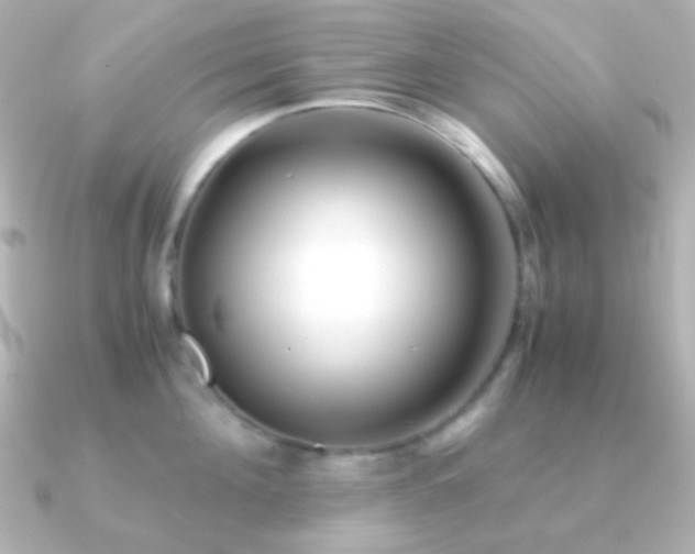 X0000091240908200708091433