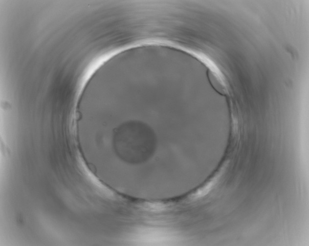 X0000091240911200708091433