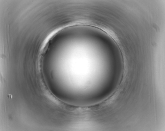 X0000091240912200708091433