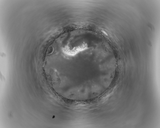 X0000091240913200708091432
