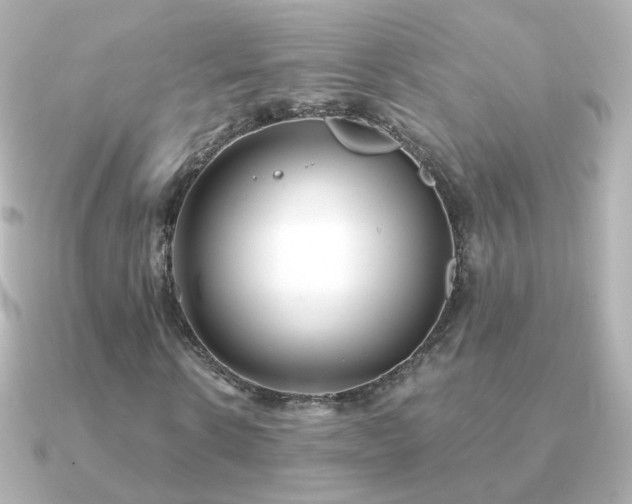 X0000091240914200708091432