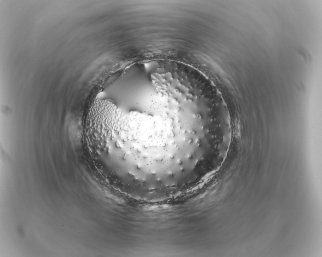 X0000091240915200708091432