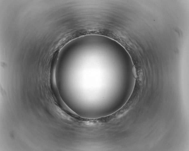 X0000091240916200708091432