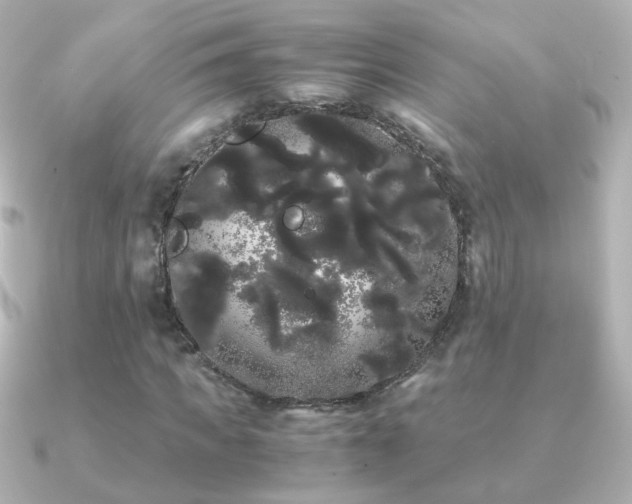 X0000091240917200708091432