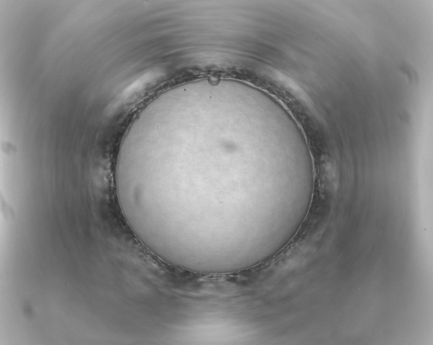 X0000091240918200708091432