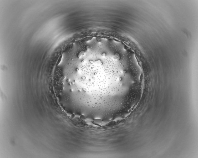 X0000091240919200708091433