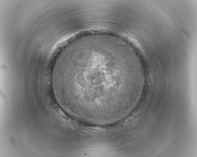X0000091240920200708091433