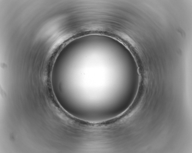 X0000091240922200708091433