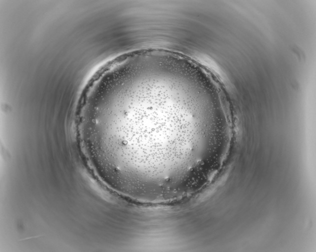X0000091240924200708091433