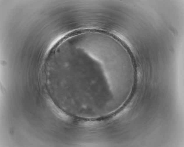 X0000091240925200708091433