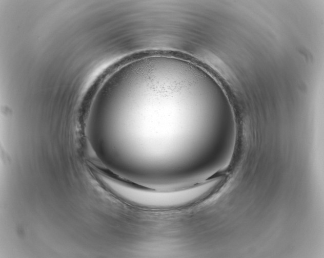 X0000091240926200708091433