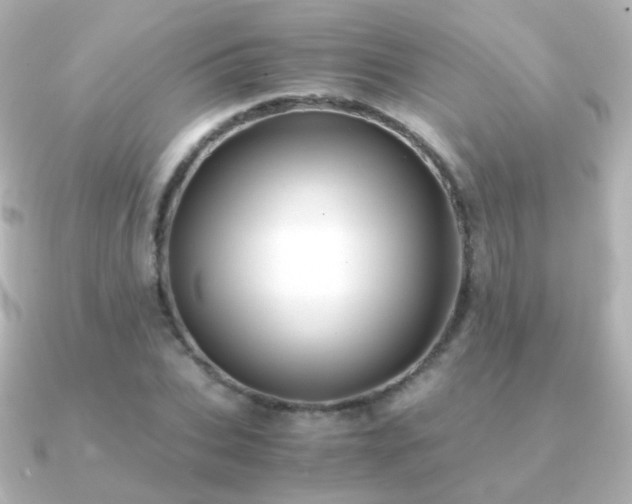 X0000091240927200708091433