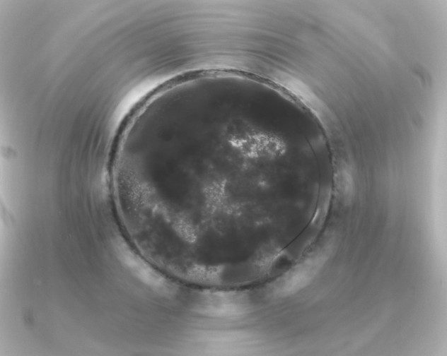 X0000091240928200708091433
