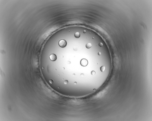 X0000091240929200708091433