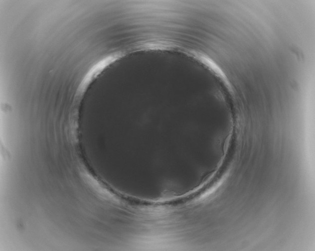 X0000091240930200708091433