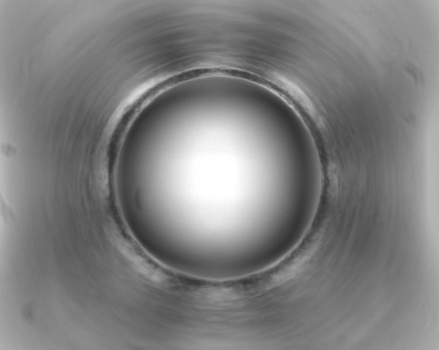 X0000091240931200708091433
