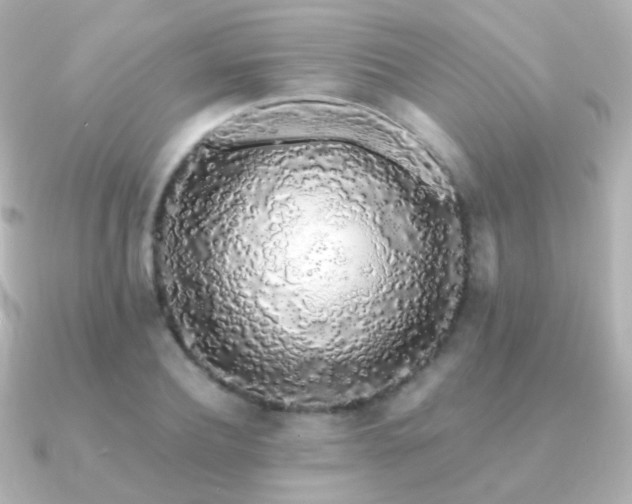 X0000091240932200708091433