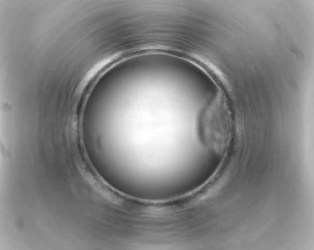 X0000091240933200708091433