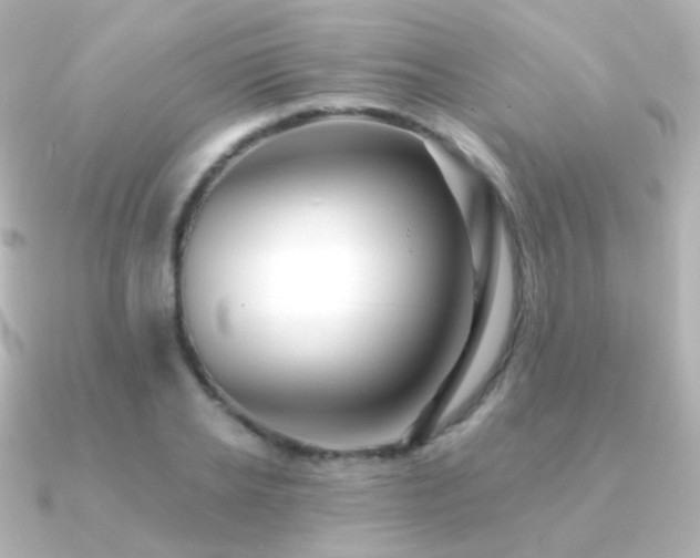 X0000091240934200708091433