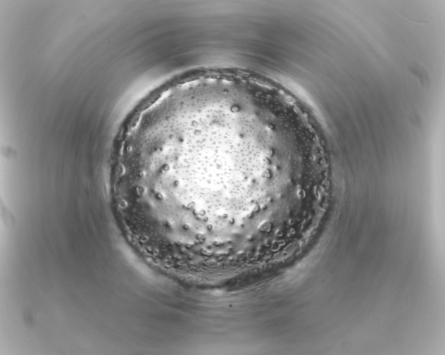 X0000091240935200708091433