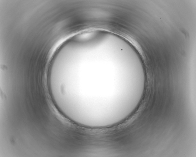 X0000091240936200708091433
