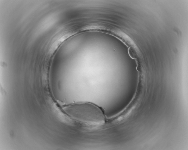 X0000091240937200708091433