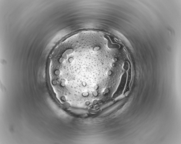 X0000091240938200708091433
