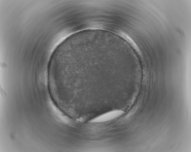 X0000091240939200708091433
