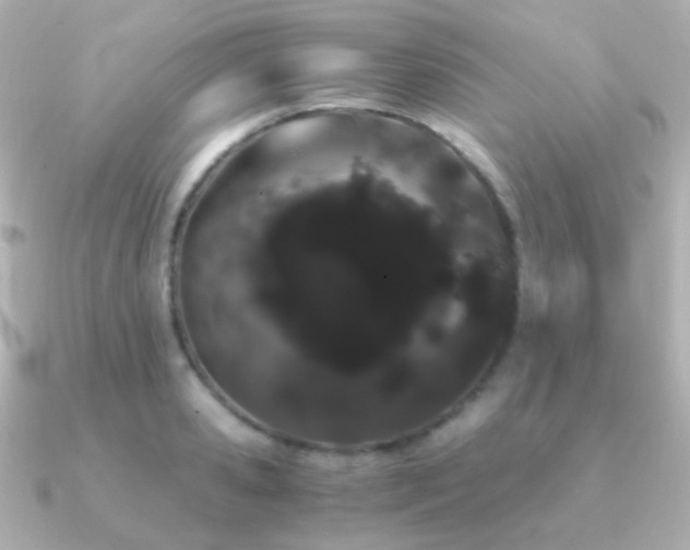 X0000091240941200708091433