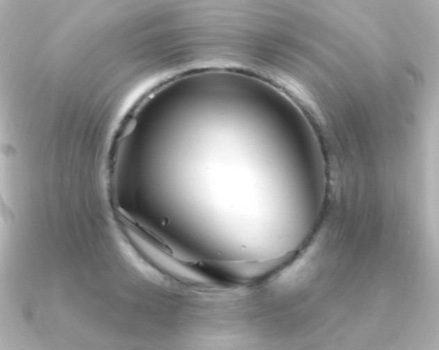 X0000091240942200708091433