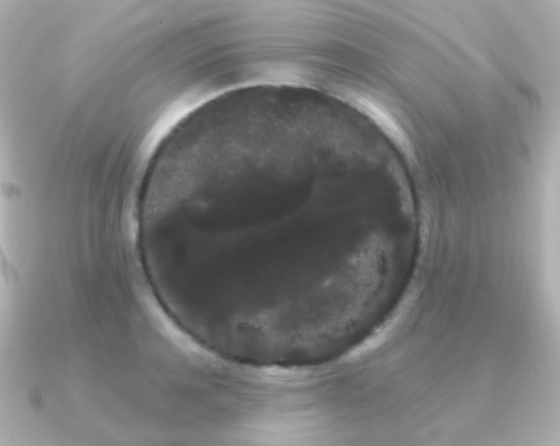 X0000091240944200708091433