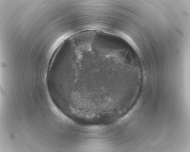 X0000091240946200708091433