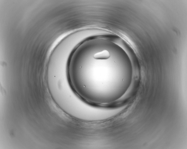 X0000091240948200708091433
