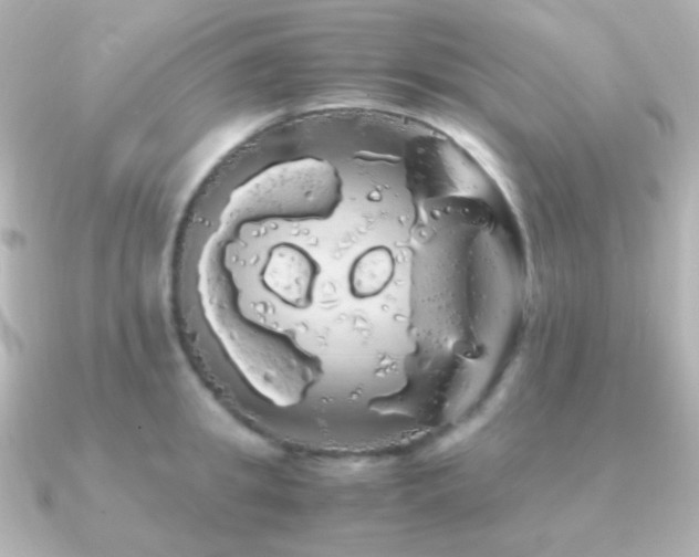 X0000091240949200708091433