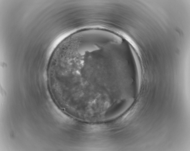 X0000091240951200708091433