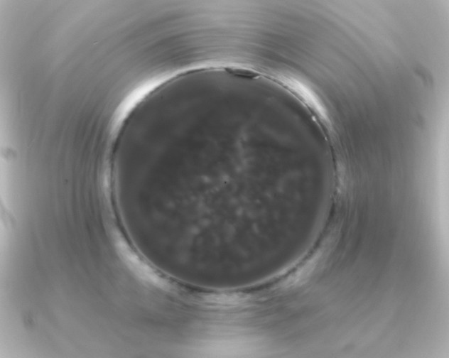 X0000091240952200708091433