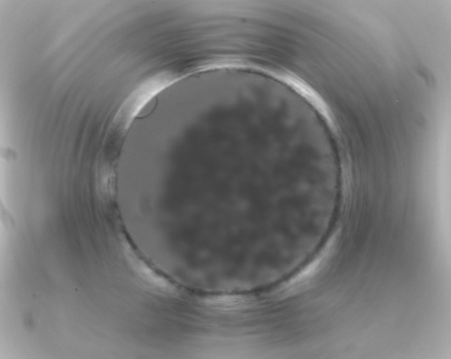 X0000091240953200708091433