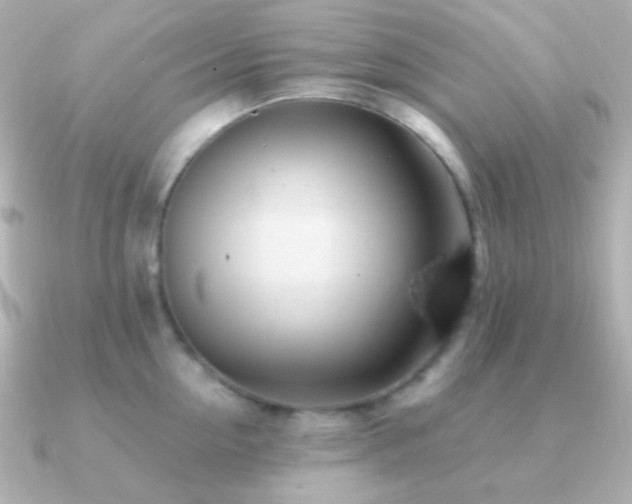 X0000091240954200708091433