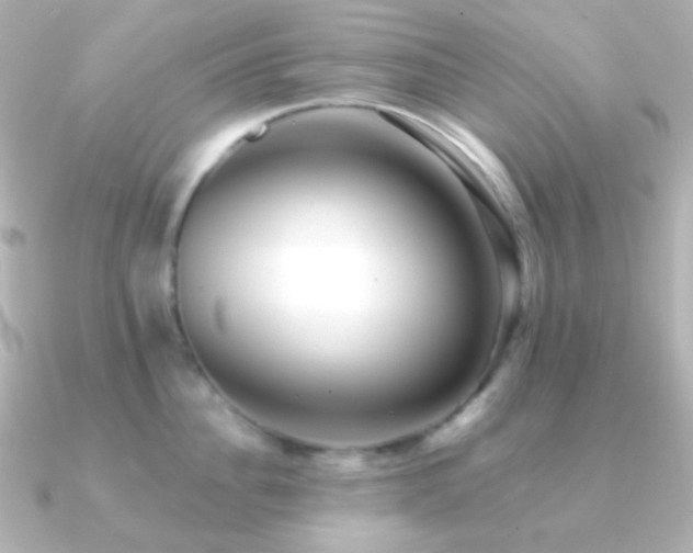 X0000091240956200708091433