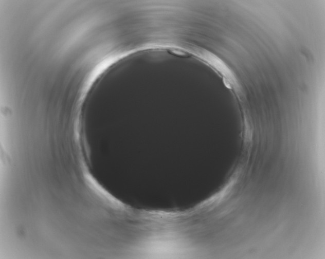 X0000091240958200708091433