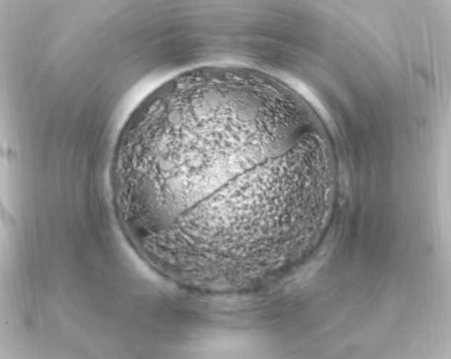 X0000091240959200708091433