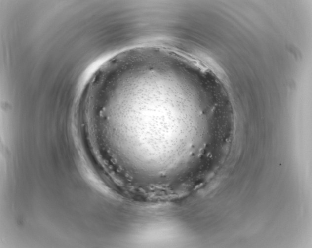 X0000091240960200708091433