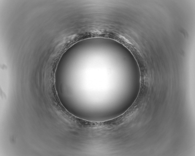 X0000091240961200708091432