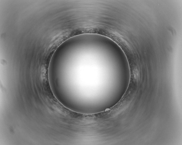 X0000091240964200708091432